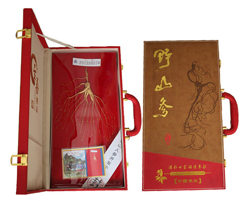11 wild ginseng gift..