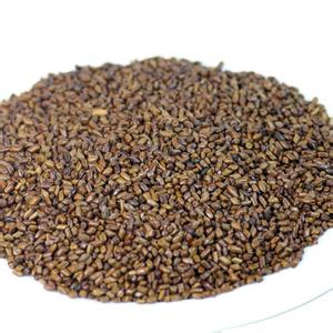 Cassia seed