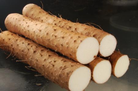 Chinese yam