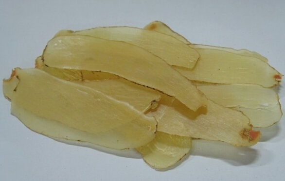 Gastrodia elata Blume